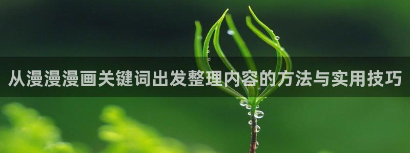 羞羞漫画首页入口:从漫漫漫画关键词出发整理内容的方法与实用技巧