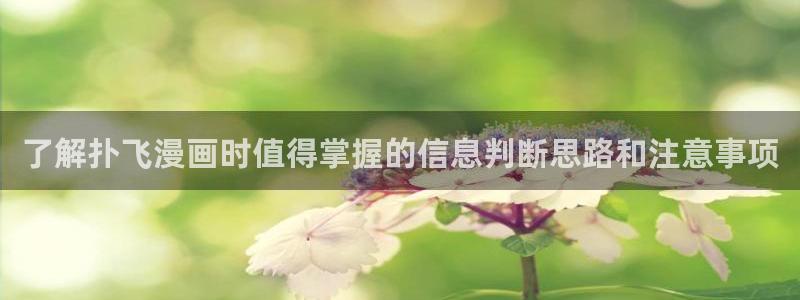 歪歪漫画七七漫画最新漫画:了解扑飞漫画时值得掌握的信息判断思路和注意事项
