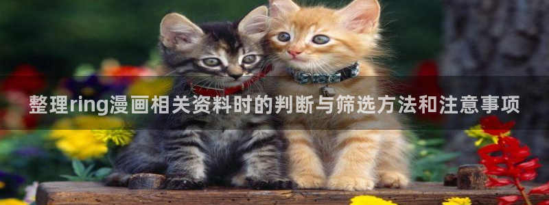 七七漫画漫画导航：整理ring漫画相关资料时的判断与筛选方法和注意事项